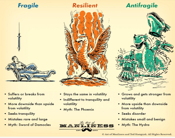 Beyond “Sissy” Resilience: On Becoming Antifragile